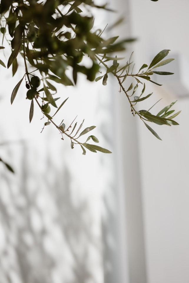 Holiday home Cocci Di Tufo Rilievo